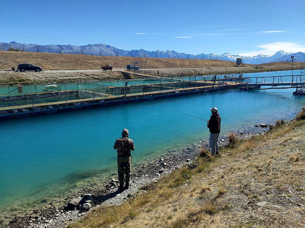 10 24.3.9 Tekapo Salmonfarm.jpg